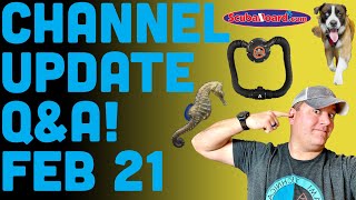 Channel Update & Dive Instructor Q&A Feb 2021