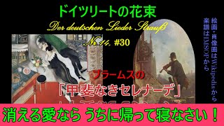 Download lagu 14, ツッカーマリオ「甲斐なきセレナーデ」（ブラームス）#30（250323） mp3