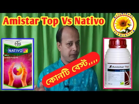 Syngenta Amistar Top Vs Bayer Nativo || Amistar Top or Nativo which is best,,,