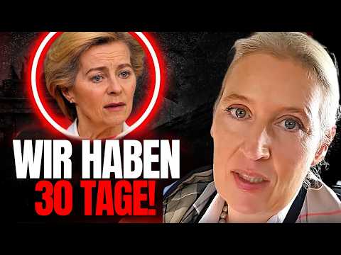 Alice Weidel WARNS Germany! - You have 30 days left!