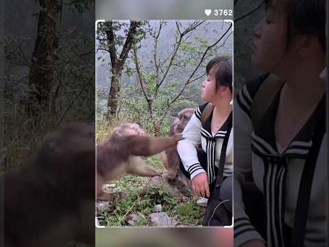 Chú Khỉ và chị Đại