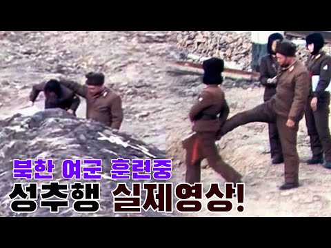 아이콘