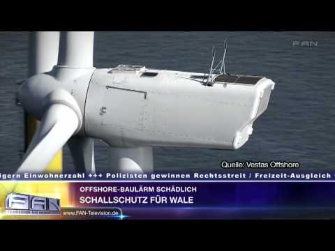 FAN Aktuell - Sendung vom 16.09.2013