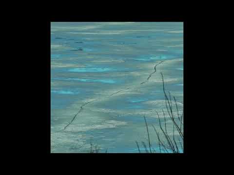 LEON (딥상어) - MELT (Official Audio)