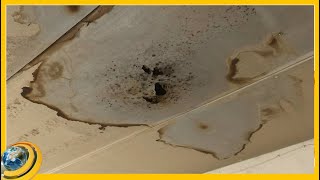 «Էրեբունի» թանգարանի բացօթյա սրահի տանիքը վատթար վիճակում է. ե՞րբ է նորոգվելու