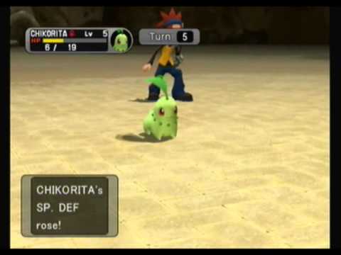 Pokemon XD: Battle CD 33