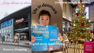【週末Vlog】living in denmarkでも地味な週末。買い出し/英語ジャーナルのやり方/クリスマスはもうすぐそこ