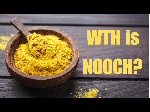 What's So Great About Nutritional Yeast?