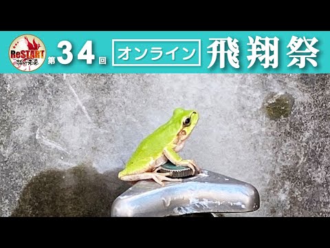 今こそケロケロの魅力に気付くとき！