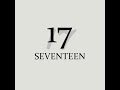 SEVENTEEN - Rap Monster (BTS) 