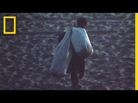 瓜達拉哈拉卡特爾的起源｜毒品戰爭 (The Origin of the Guadalajara Cartel | Narco Wars)