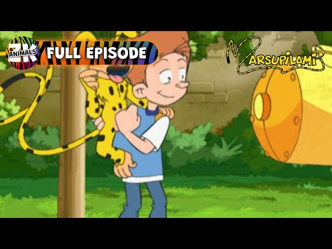 Marsupilami | Season 2, Episode 17 | Bobo Leaves Home