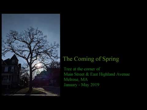 The Coming of Spring 2019