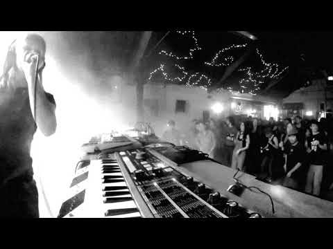 Lisaholic snipped 2019