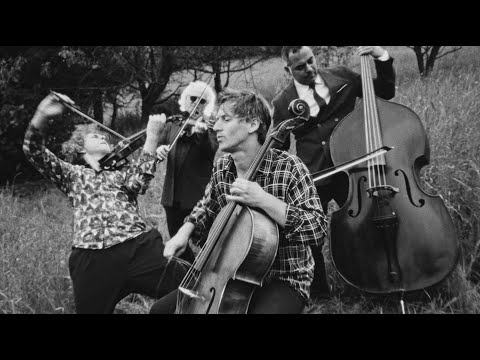 VOŁOSI - Prelude (Official Video)