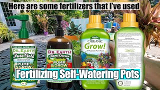 How to Fertilize Houseplants in Self Watering Pots