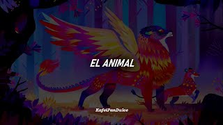 El Animal//Caifanes (Letra)