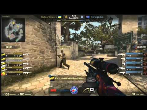 ESWC 2015 Montreal - Natus Vincere - Renegades