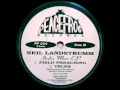 Neil Landstrumm - "Telex"