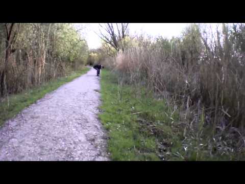 AR.Drone 2.0 Video: 2015/05/02