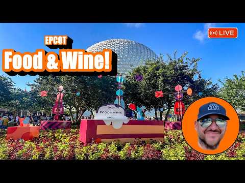 Live webcam of Theme Park Giant