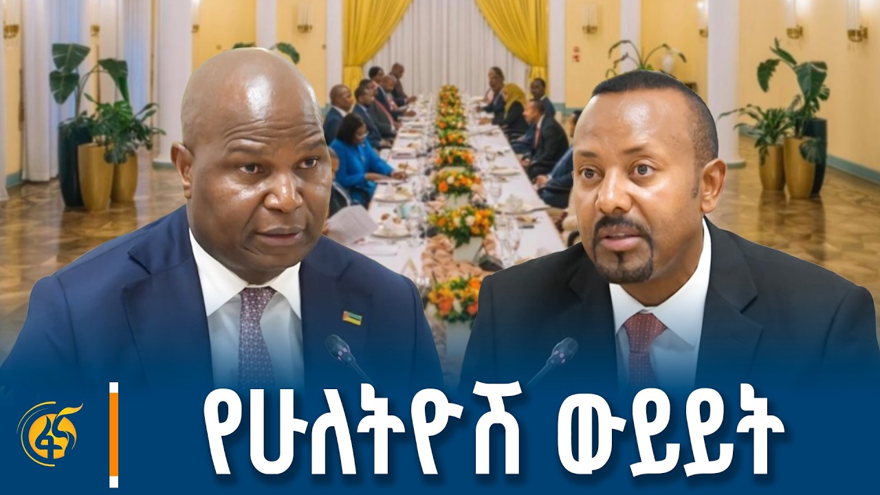 የጠቅላይ ሚኒስትሩና የሞዛምቢክ ፕሬዚዳንት የሁለትዮሽ ውይይት
