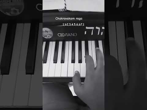 Raag Chakravakam — Classical Performance — वीडियो थंबनेल