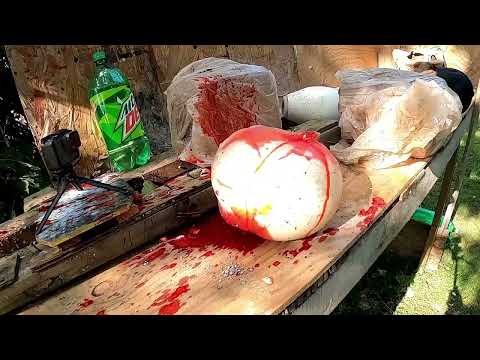 Therapy Range Vol. 11 Head Shot, energy transfer. Can you survive a .44 Mag to the head?