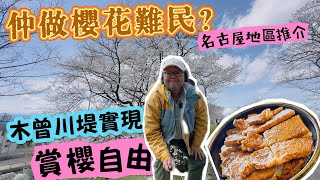 木曾川堤櫻花道賞櫻秘境｜名古屋隱藏春日美景｜自駕櫻花隧道攻略｜遠離人群悠閒賞花｜飛驒牛美食推薦  #廣東話 #日本櫻花 #名古屋旅遊 #飛驒牛