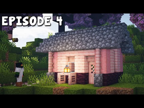 Building My Starter House