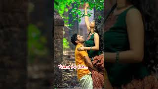 Download lagu Malaiyoram Mankuruvi whatsapp status in tamil mp3