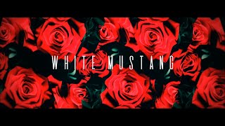 Lana Del Rey - White Mustang (Cover by Stuart Matthew)