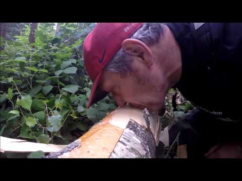 Prostata elektromassazhor Apotheke Prostatavolumen 100