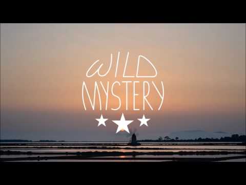 Vicent Ballester, The Nurk & Dave Baron - Thinking About You (Toly Braun Remix)