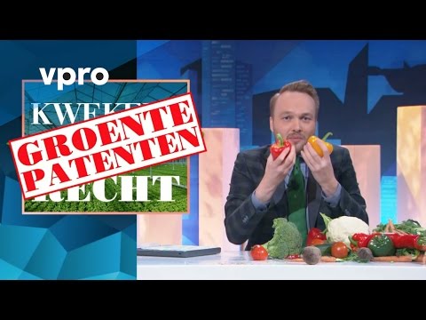 Patentování odrůd