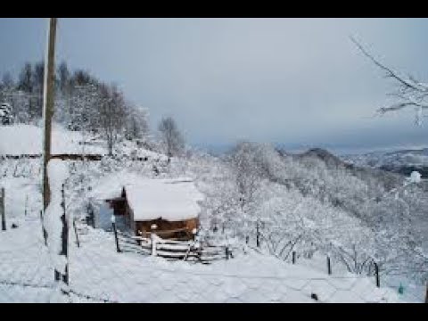 BÜYÜK HALA HİKAYESİ (YAŞANMIŞ KORKU HİKAYESİ)