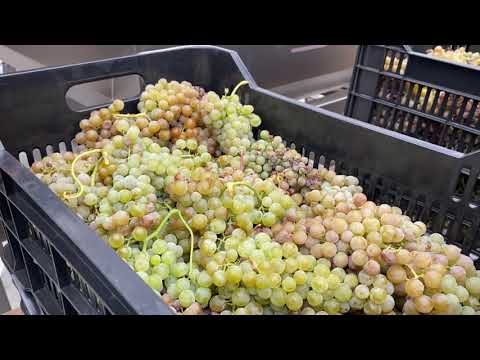 Stațiunea Didactică „Banu Mărăcine”