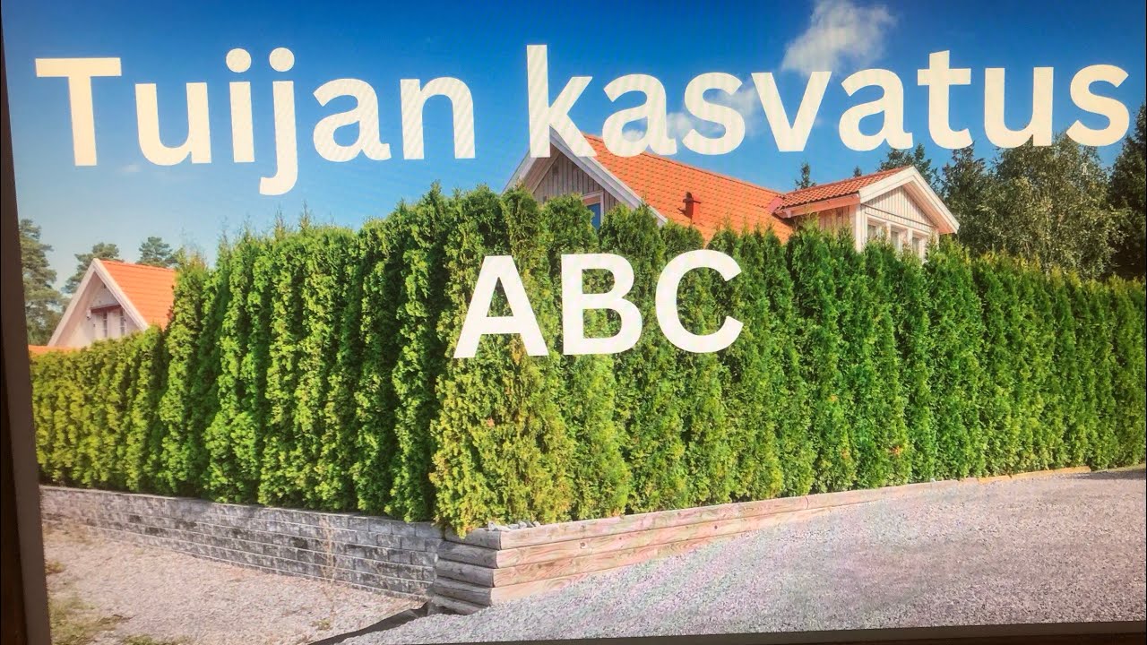 Tiesitkö tämän? Tuijan kasvatus ABC