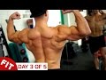 THE FITNESS MODEL BODY - DAY 3 - BACK