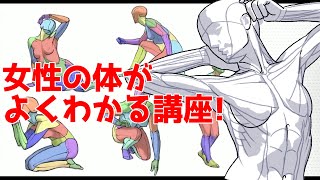 女性の体の構造まるわかり!加藤公太先生のパワーアップした講座が本当にすごい!【Coloso】