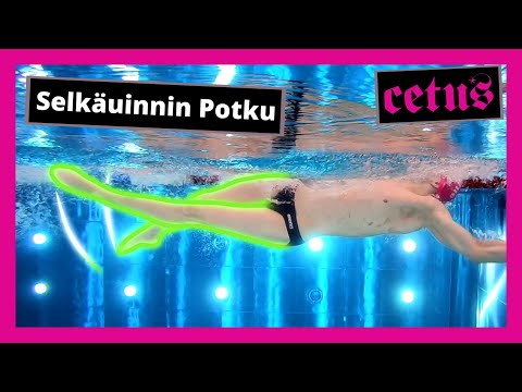 Selkäuinti 4 - Potku