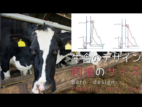 住居のサイズについて詳しく解説