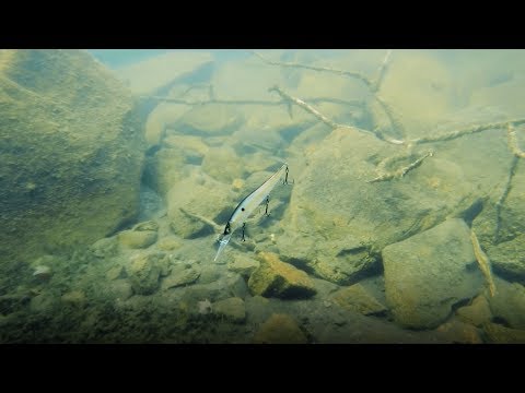 How to Fish De...