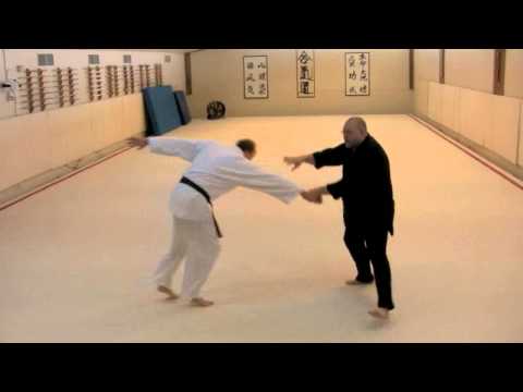 Aikido: Ni Ju San Kata: 8 of 23 Hiki-taoshi