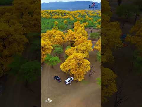 Loja, hermosa y encantadora en cada rinconcito #loja