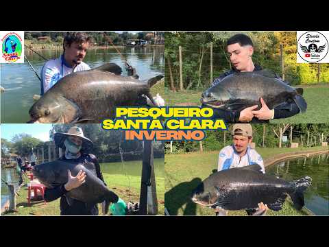 PESQUEIRO SANTA CLARA - SANTA BARBARA D OESTE