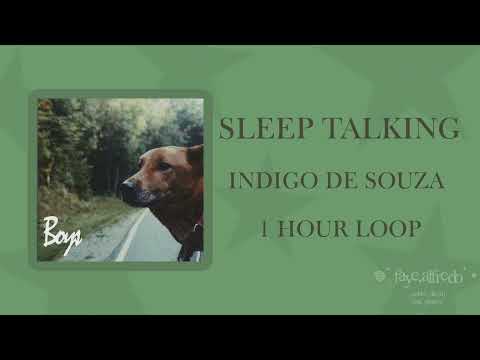 𖦹 ׂ 𓈒 sleep talking 1 hour loop／indigo de souza ⋆ ۪