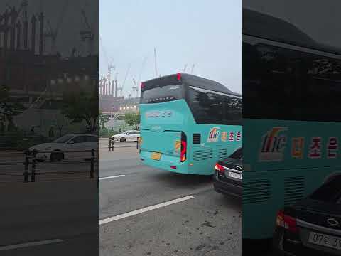 P5, 어디까지 올라왔을까? | 현장 진행상황