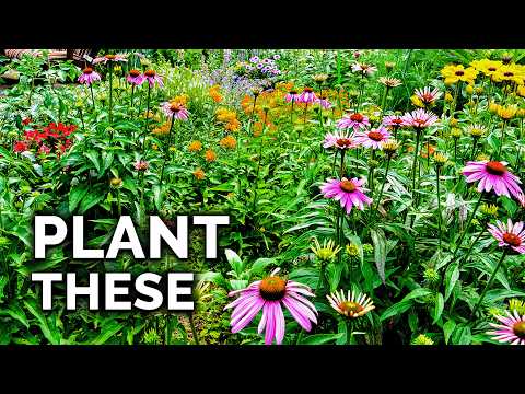11 MUST Grow Pollinator Garden Plants 