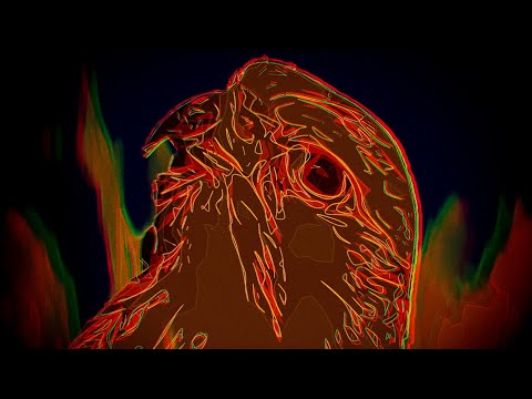 Video thumbnail for Come On Down